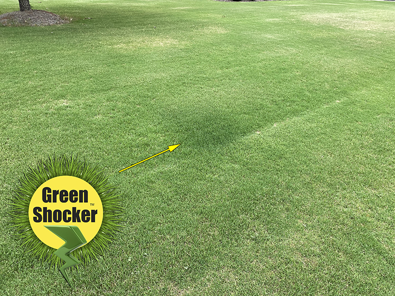 greenshocker fertilizer testing 2